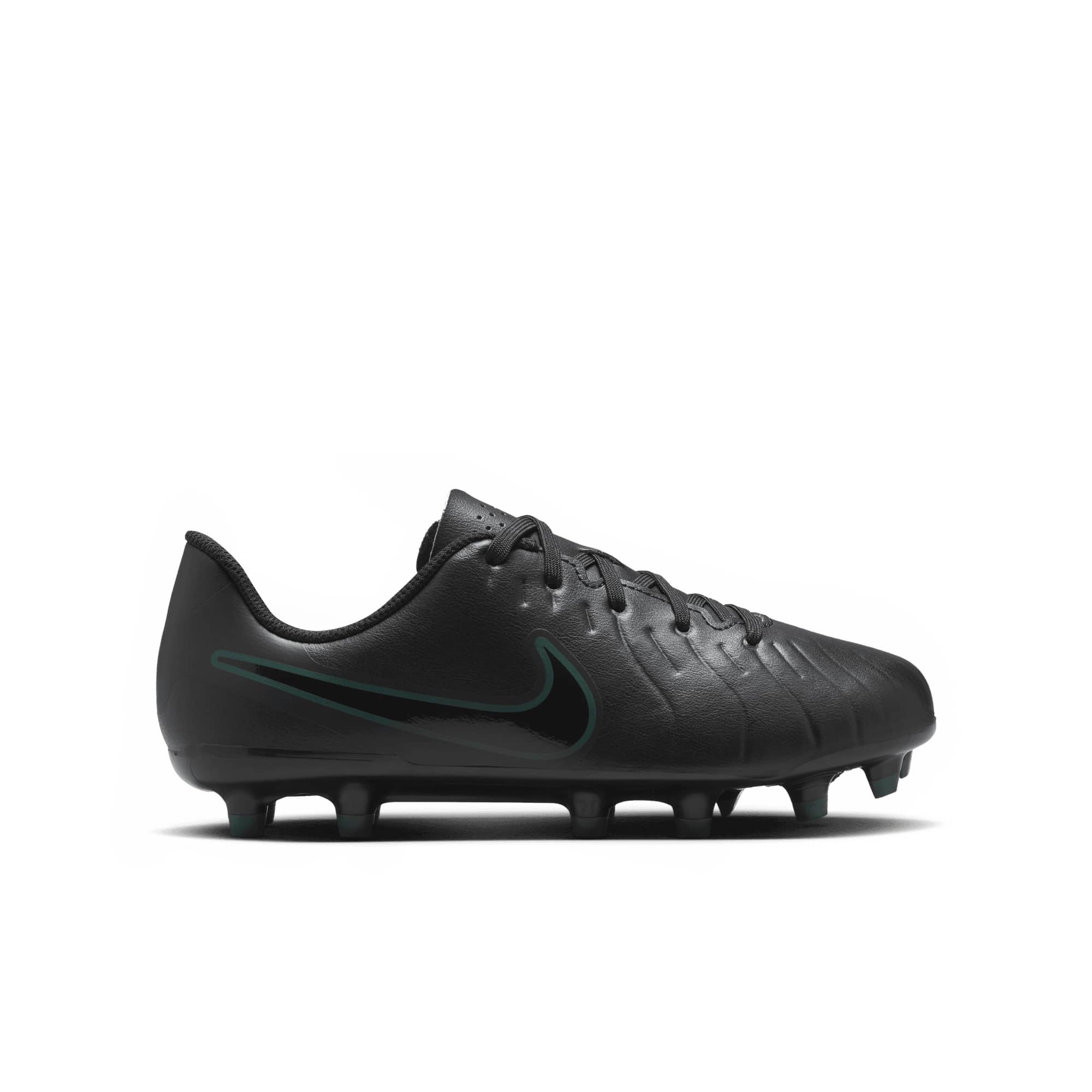 Nike Siyah Nike Legend 10 dv4352-002