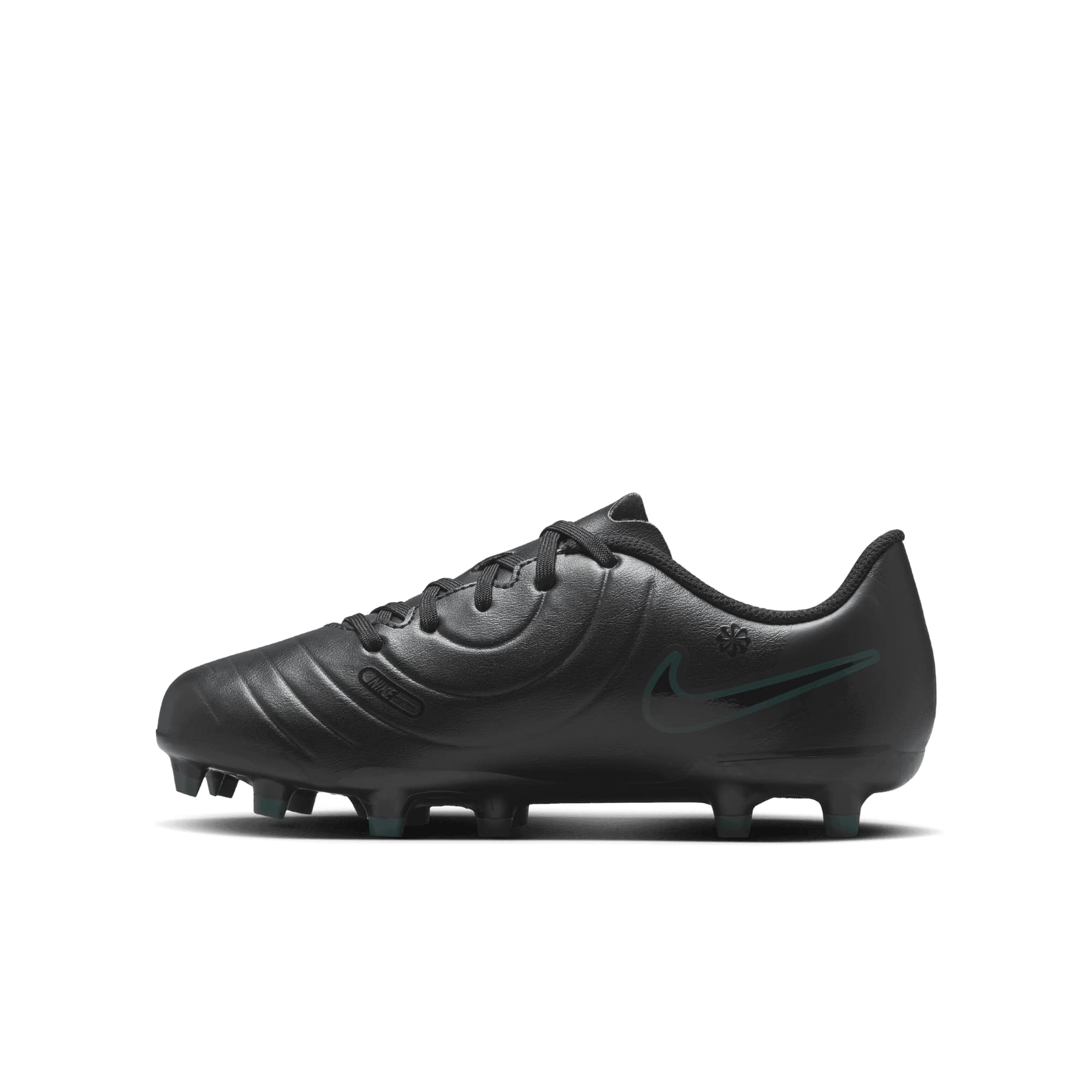 Nike Siyah Nike Legend 10 dv4352-002