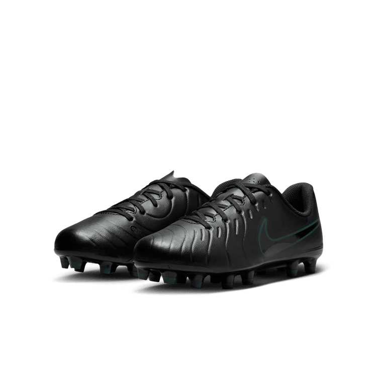 Nike Siyah Nike Legend 10 dv4352-002