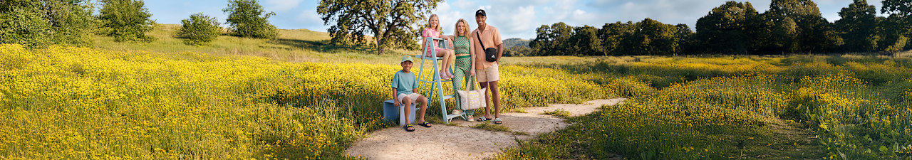 Wide landscape shot of four people standing and sitting around a ladder in a blooming yellow field, wearing casual summer clothing and slide sandals.