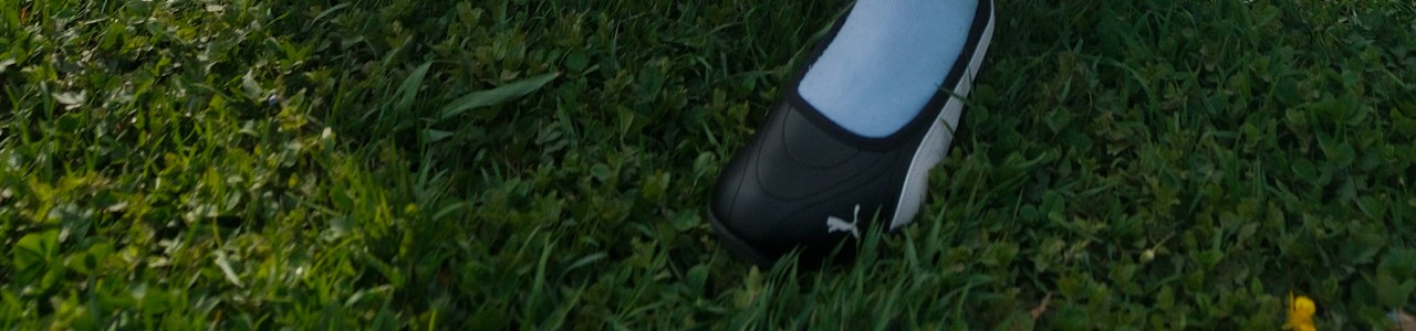 Puma_BHpng