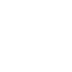 Skechers_LogoWhite_2