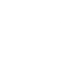 Levis_LogoWhite_2