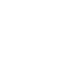 Venice_logoWhite_2