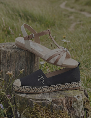 shoes on a tree trunk
