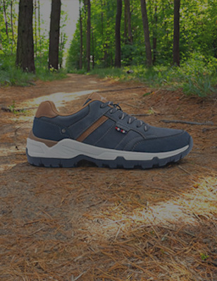 Blue sneaker in the woods