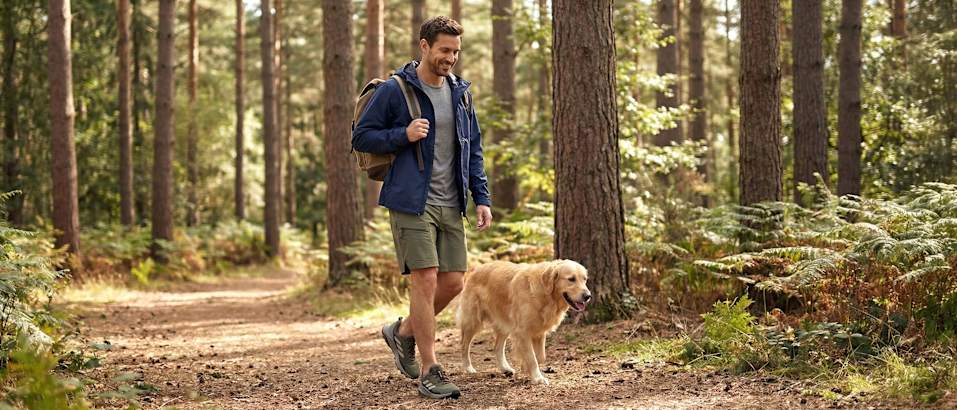 men and dog walk in the forest