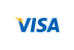 294654_visa_icon (1)