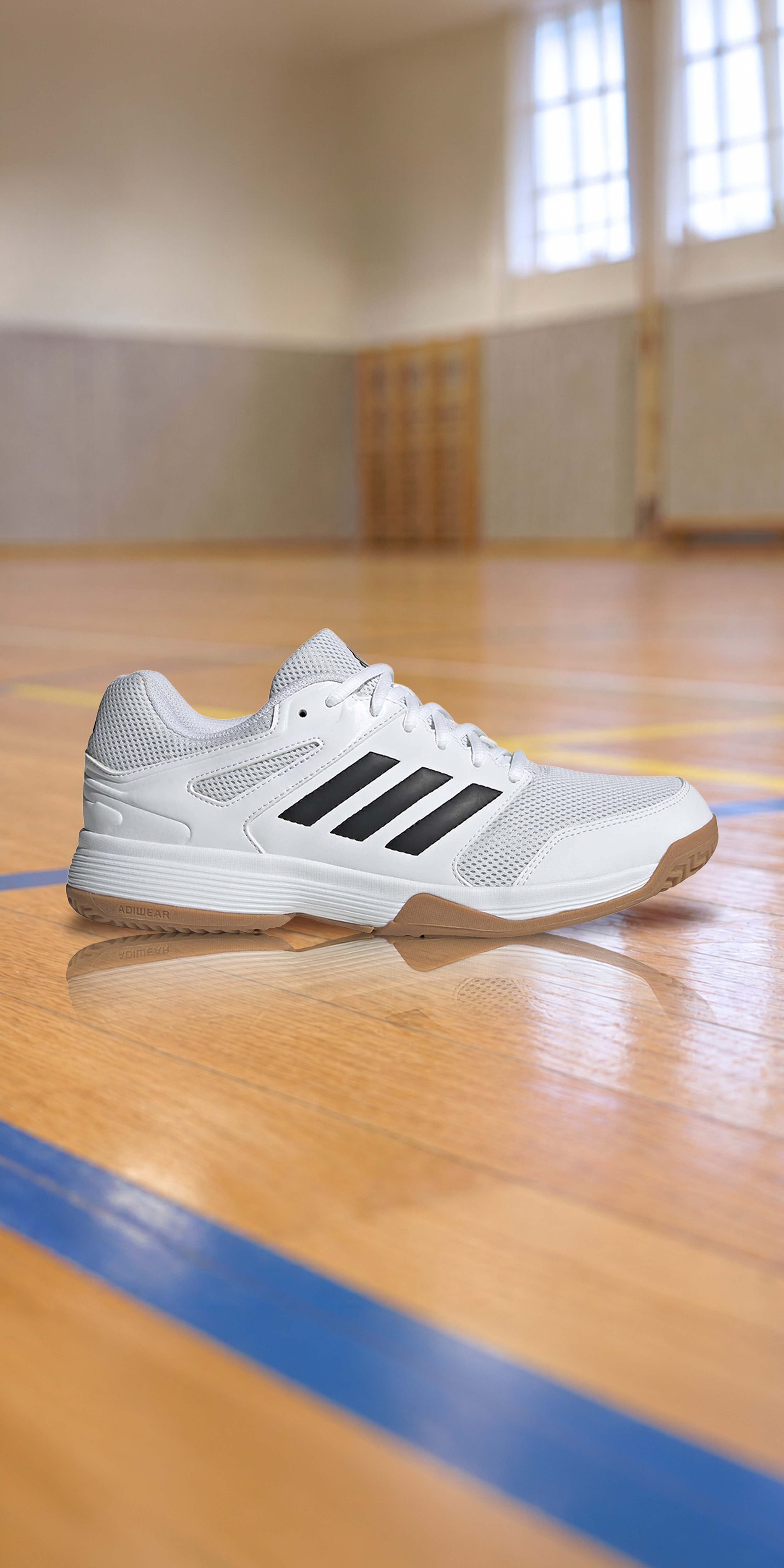 Hallenschuh