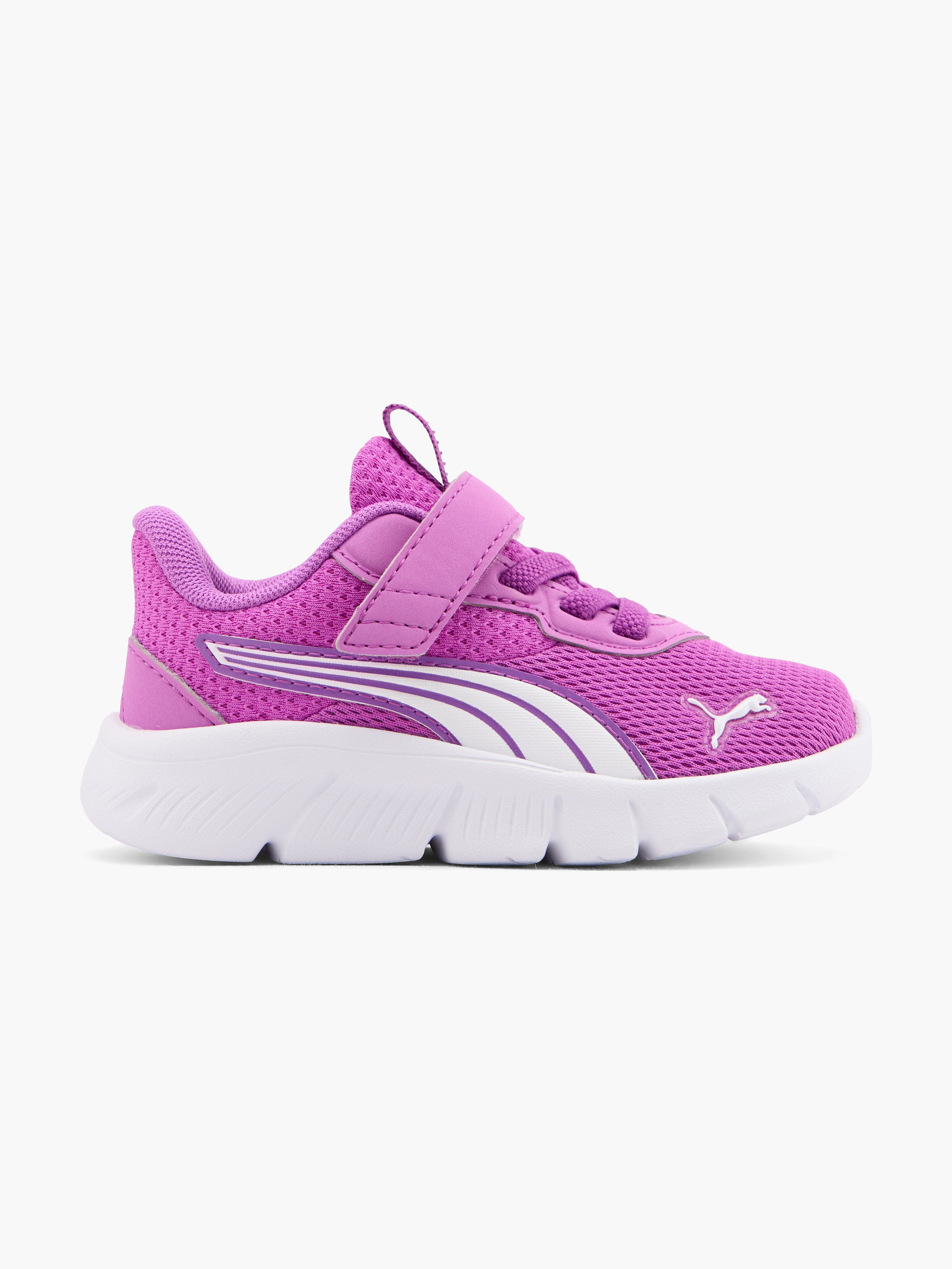 PUMA FLEXFOCUS MODERN AC+ INF Sneaker Mor | DEICHMANN
