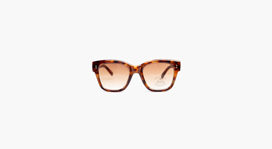 DEICHMANN Sunglasses Brown | DEICHMANN