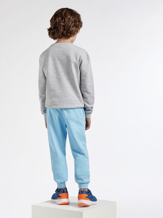 PAW Patrol Sweatshirt Grå 848 3