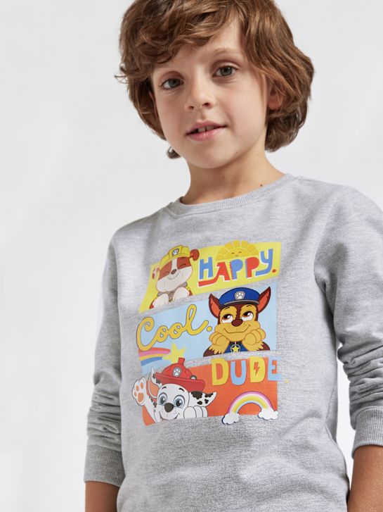 PAW Patrol Sweatshirt Grå 848 4