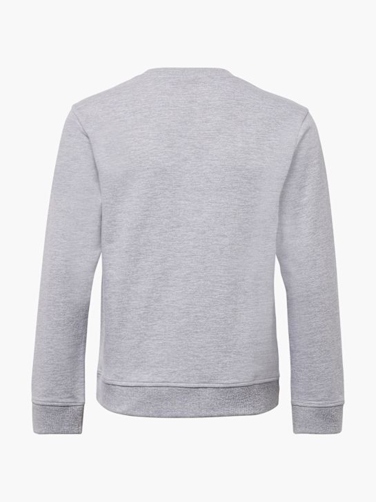 Jurassic World Manches longues Gris 3928 3