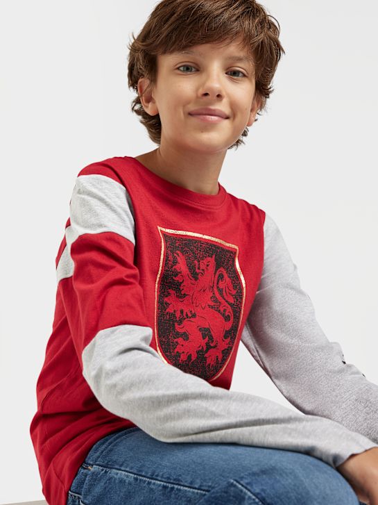 Harry Potter Longsleeve Rot 3929 7