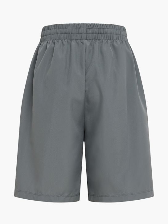 Nike Short Gris 22179 2