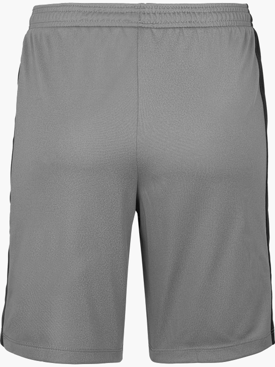 Nike Shorts Grau 28894 2