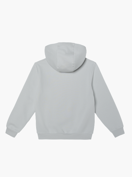 Nike Hoodie Grau 54169 2