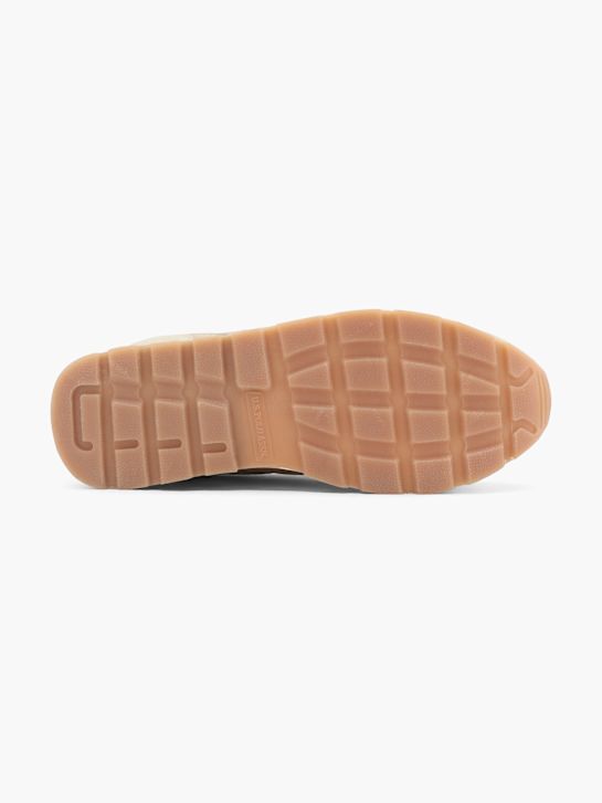 U.S. Polo Sapatilha Beige 55341 4