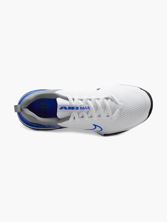 Nike Sportbačiai žemu aulu Mėlyna 63260 3