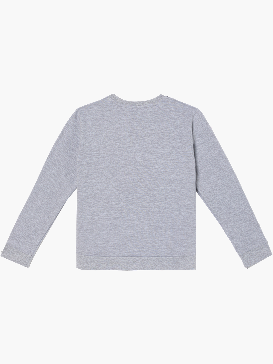 PAW Patrol Sweatshirt Grau 69353 2