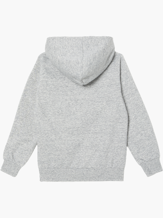 Champion Sweat à capuche Gris 79791 2