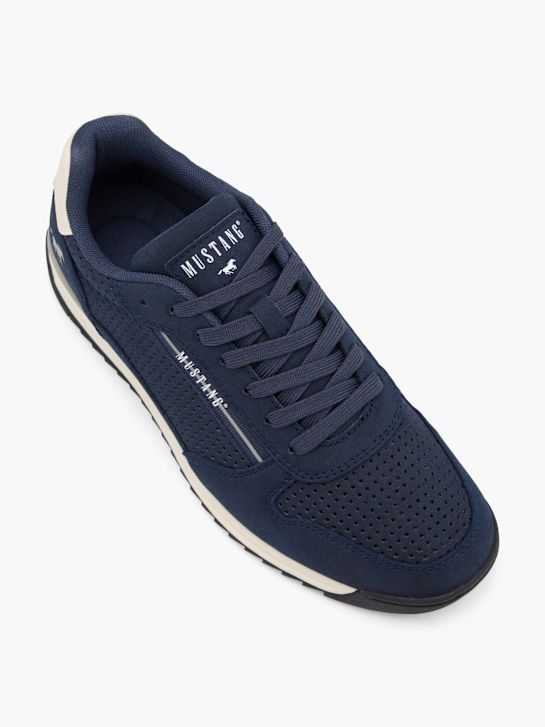 Mustang Trainer Blue 123107 2