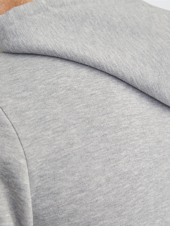 JJ Rebel Sweat à capuche Gris 123052 4