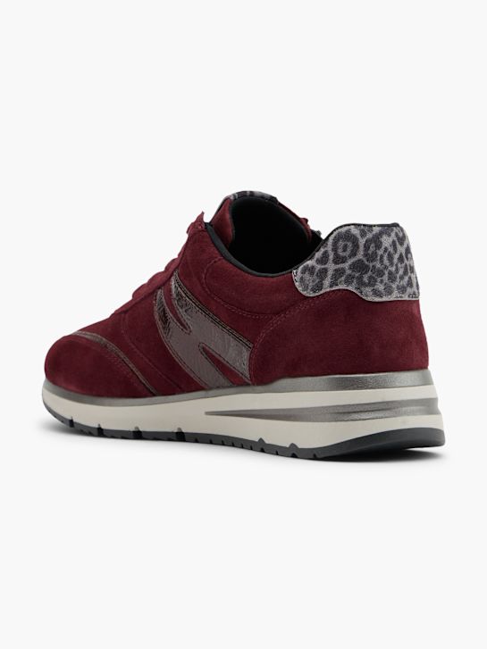 Medicus Sneaker Bordeaux 150961 3