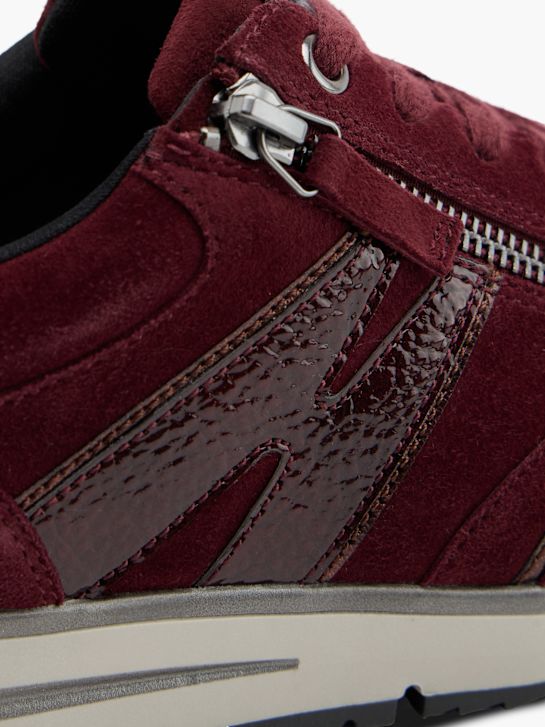 Medicus Sneaker Bordeaux 150961 5