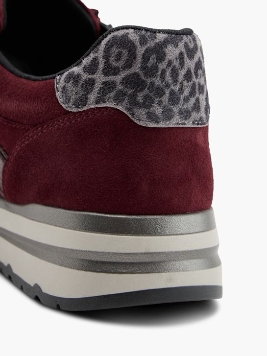 Medicus Sneaker Bordeaux 150961 6