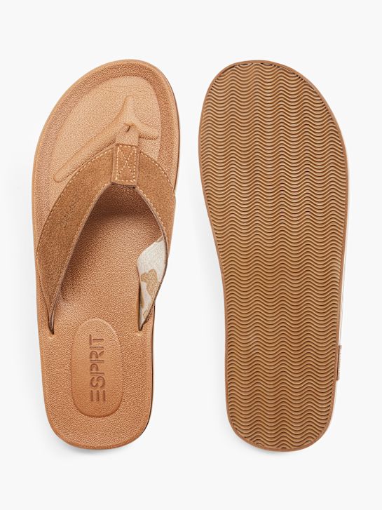 ESPRIT Japanke Konjak 22893 3