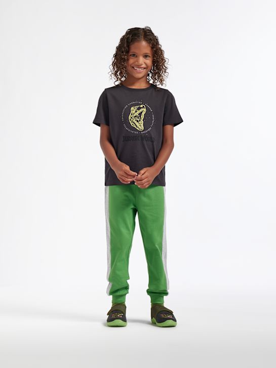 Jurassic World T-shirt Grå 847 2
