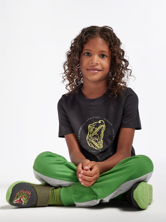 Jurassic World T-shirt Grå 847 5