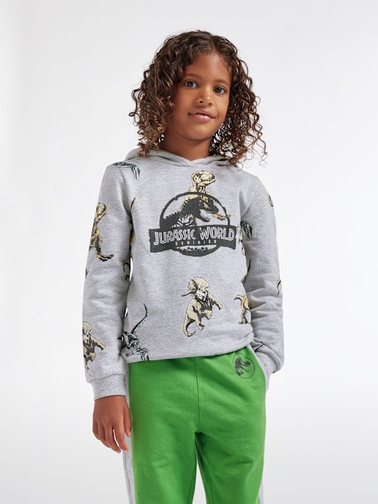 Jurassic World Bluza z kapturem Szary 5252 2