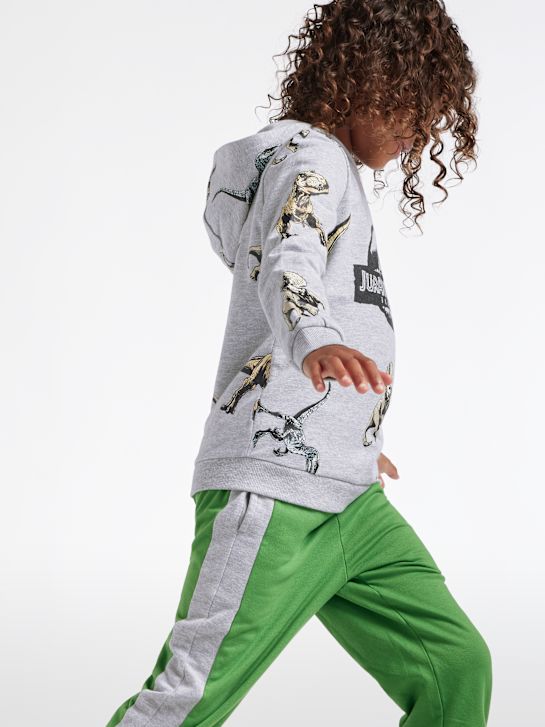 Jurassic World Bluza z kapturem Szary 5252 4
