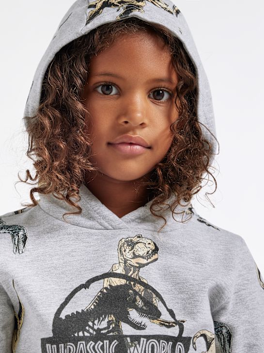 Jurassic World Bluza z kapturem Szary 5252 5