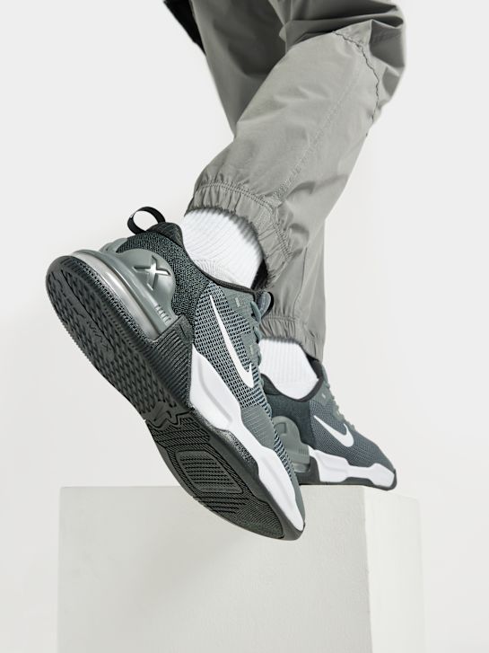 Nike Træningssko Grå 7083 8