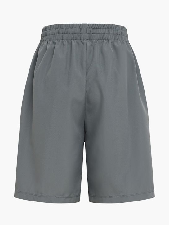 Nike Shorts Grau 22179 2