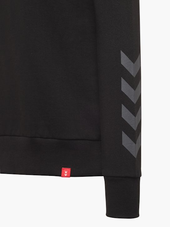 hummel Sweat à capuche Noir 11175 4