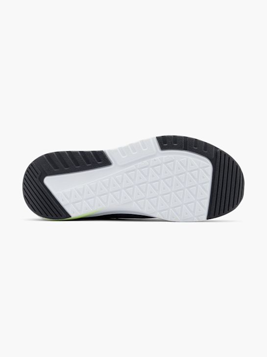 Venice Baskets Bleu 11474 4