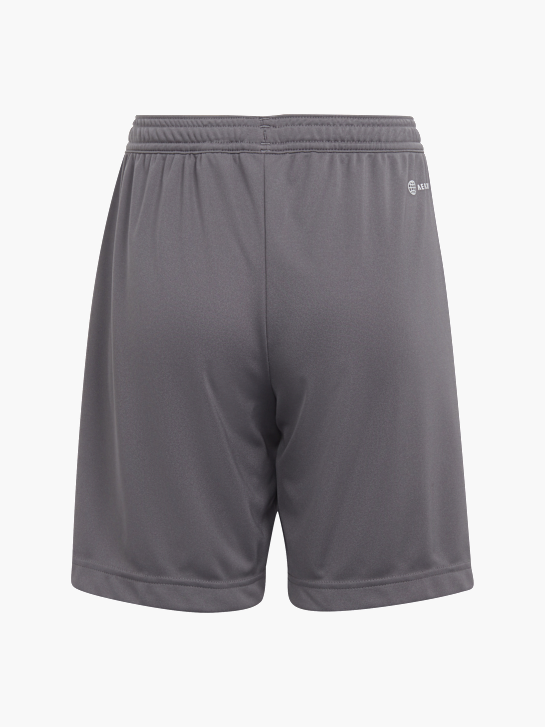adidas Shorts Grau 58590 2