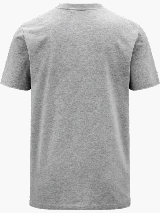 Kappa T-Shirt Grau 69758 2