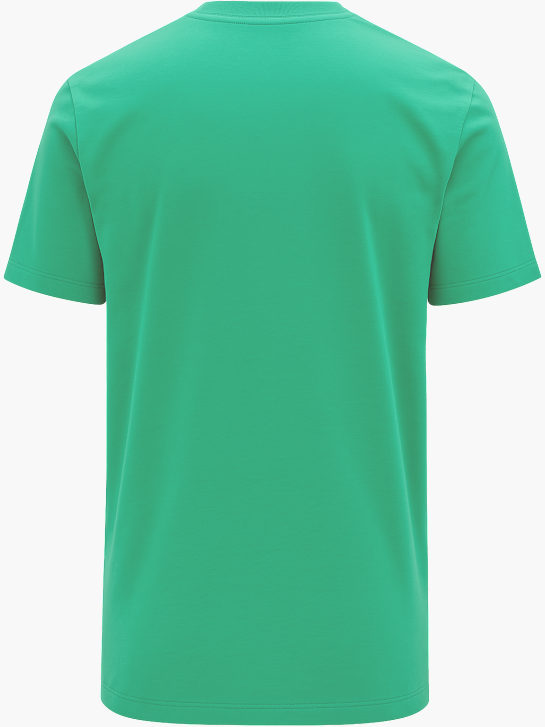 Kappa T-Shirt Grün 63333 2
