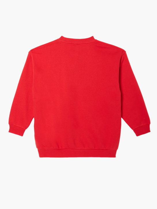 Nike Sweatshirt Rot 79295 2