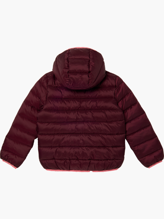 Champion Winterjacke Burgunder 79776 2