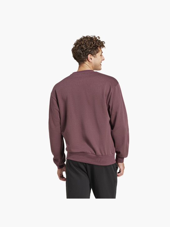 adidas Sweat Aubergine 81169 3