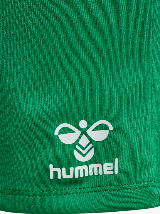 hummel Shorts Grün 112434 4