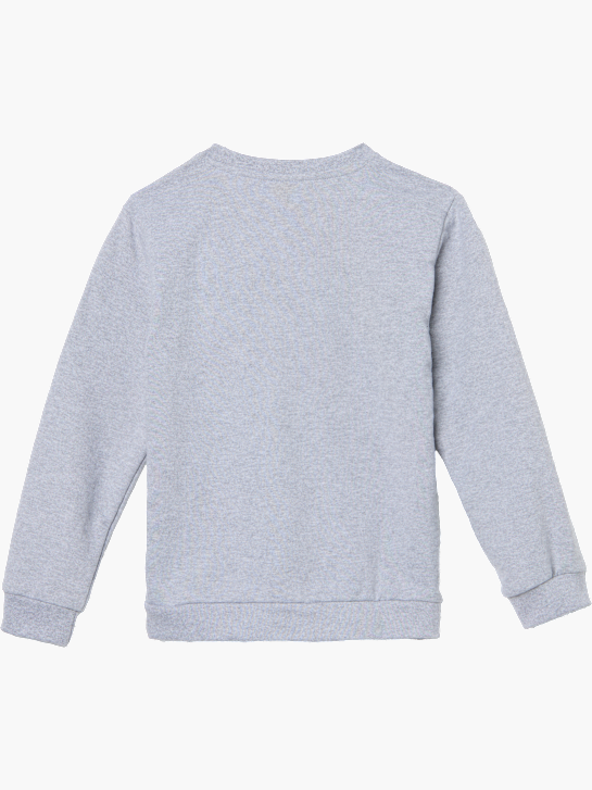 PAW Patrol Sweatshirt Grau 118916 2