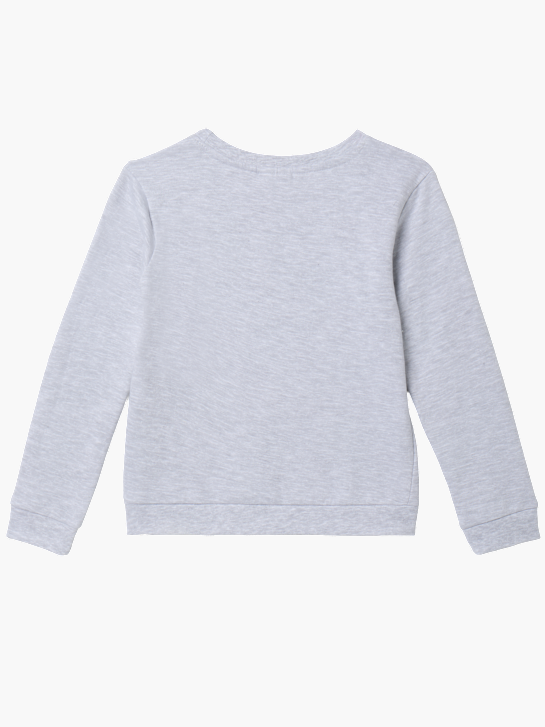 PAW Patrol Sweatshirt Grau 118926 2
